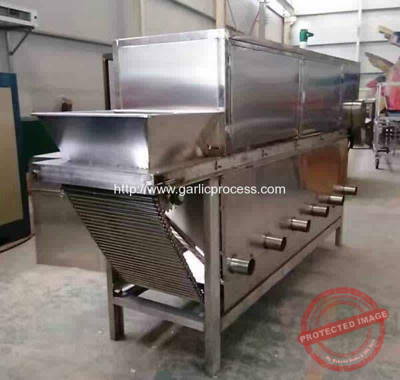 Chain-Type-Garlic-Clove-Peeling-Machine-for-Garlic-Clove-Production-Line